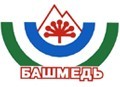 Подземный рудник "Башмеди" будет добывать более 2 млн. тонн руды.