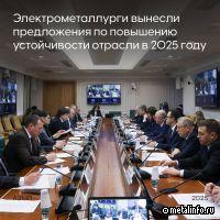Электрометаллурги вынесли предложения по повышению устойчивости отрасли в 2025 г.