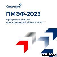 Решения Северстали для строительства объектов возобновляемой и низкоуглеродной энергетики