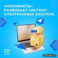 Норникель развивает систему электронных закупок
