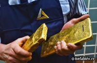 Полюс может выплатить дивиденды за девять месяцев