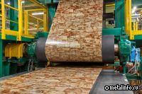 Что ожидает российский рынок проката с покрытиями?