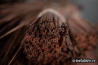 Искандер Махмудов и Игорь Алтушкин попали под санкции США