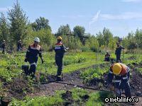 ЕВРАЗ ЗСМК проводит уникальный эксперимент по созданию искусственных почв из промышленных отходов