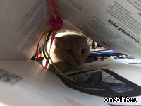 Продолжается прием заявок на конкурсы в сфере корпоративных коммуникаций