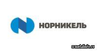 Прямая линия с вице-президентами Норникель