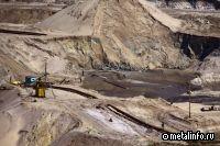 Калининградский янтарный комбинат добыл самородок весом 1,4 кг