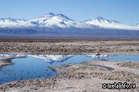 Чилийские Codelco и SQM основали партнерство по литию