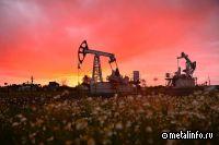 Разработка резидента «Сколково» в пять раз увеличила объем добываемой нефти