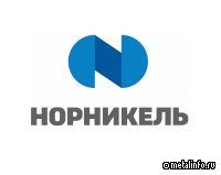Совет директоров Норникеля рекомендует акционерам не выплачивать дивиденды за 2024 год
