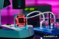 Норникель изучает возможность выпуска катализаторов для водородной энергетики