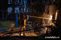 Минпромторг рассчитывает на рост в 1-2% в металлургии и ломозаготовке к концу 2024 г.