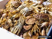 Норебо настаивает на увеличении цены за строительство двух краболовов на 1 млрд руб.